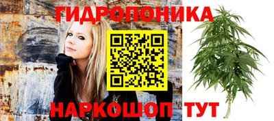 каннабис Тула