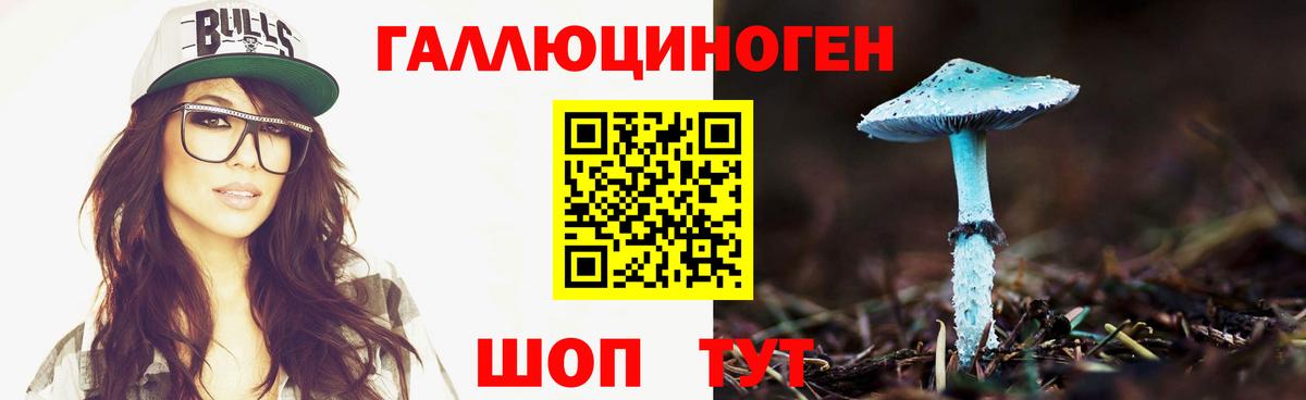 Псилоцибиновые грибы Magic Shrooms  Вход с VPN  Димитровград 