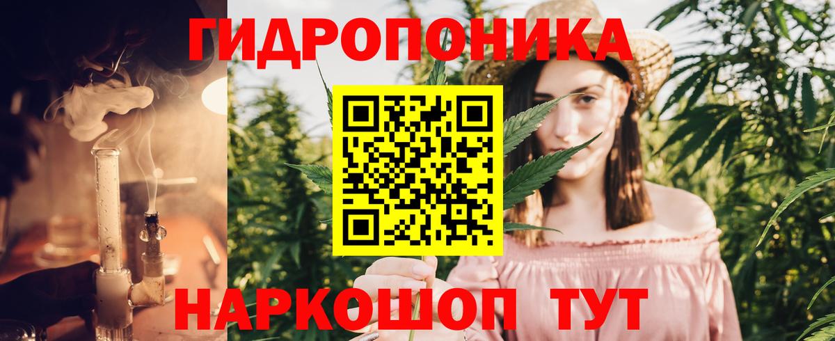 Димитровград  Конопля THC 21%  Канабис сатива  Бошки Шишки Ganja  Конопля LSD WEED  Вход с VPN 